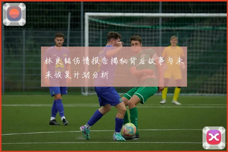 林良铭伤情报告揭秘背后故事与未来恢复计划分析