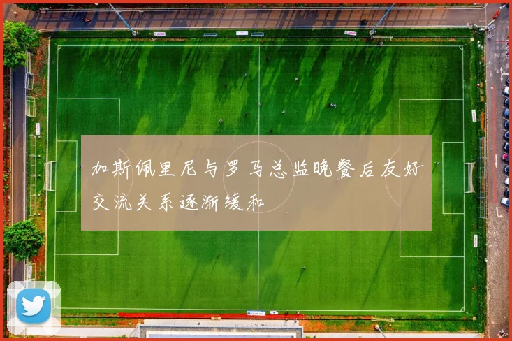 加斯佩里尼与罗马总监晚餐后友好交流关系逐渐缓和