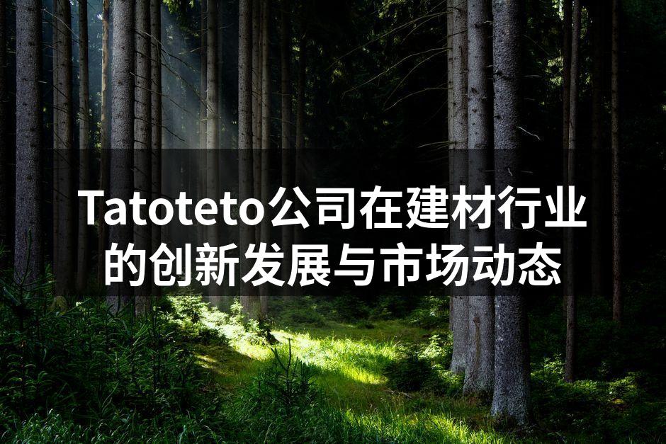 Tatoteto公司在建材行业的创新发展与市场动态