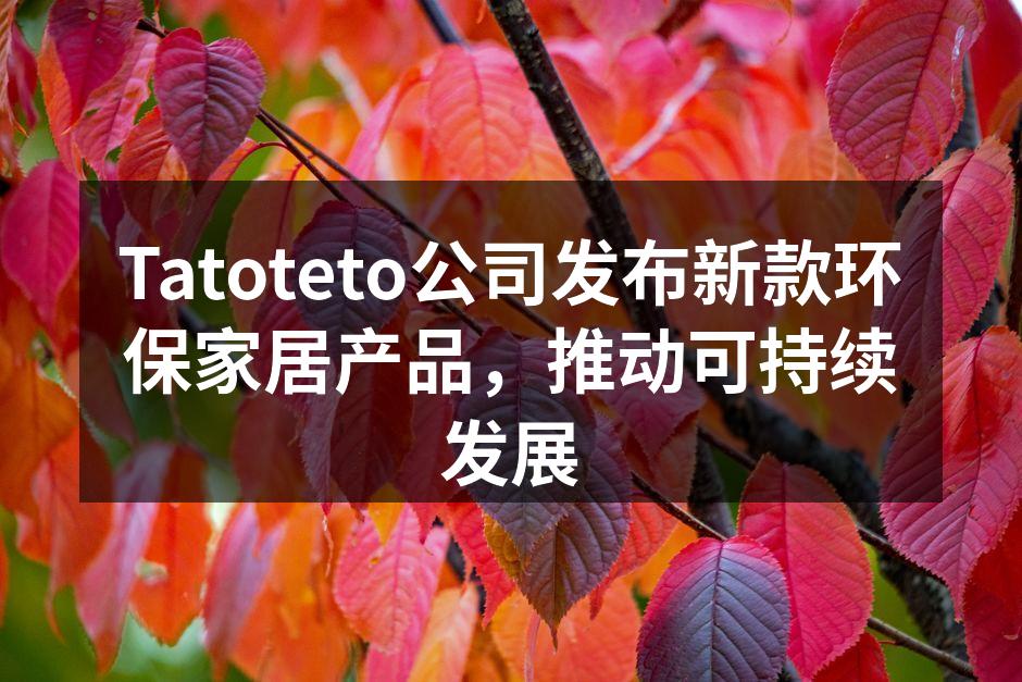 Tatoteto公司发布新款环保家居产品，推动可持续发展